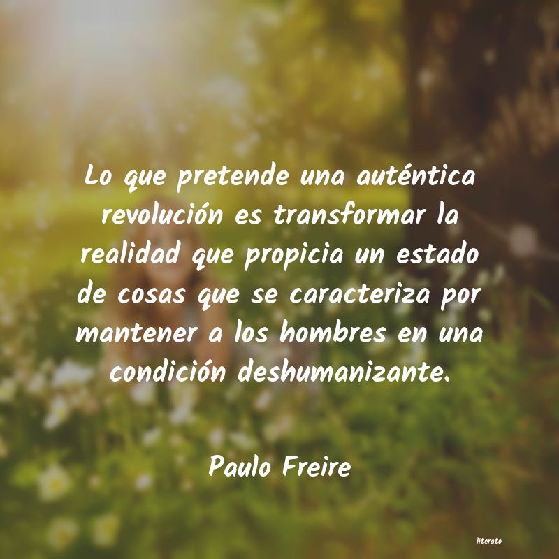 Frases de Paulo Freire