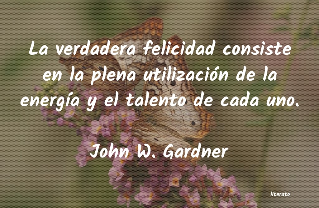 Frases de John W. Gardner