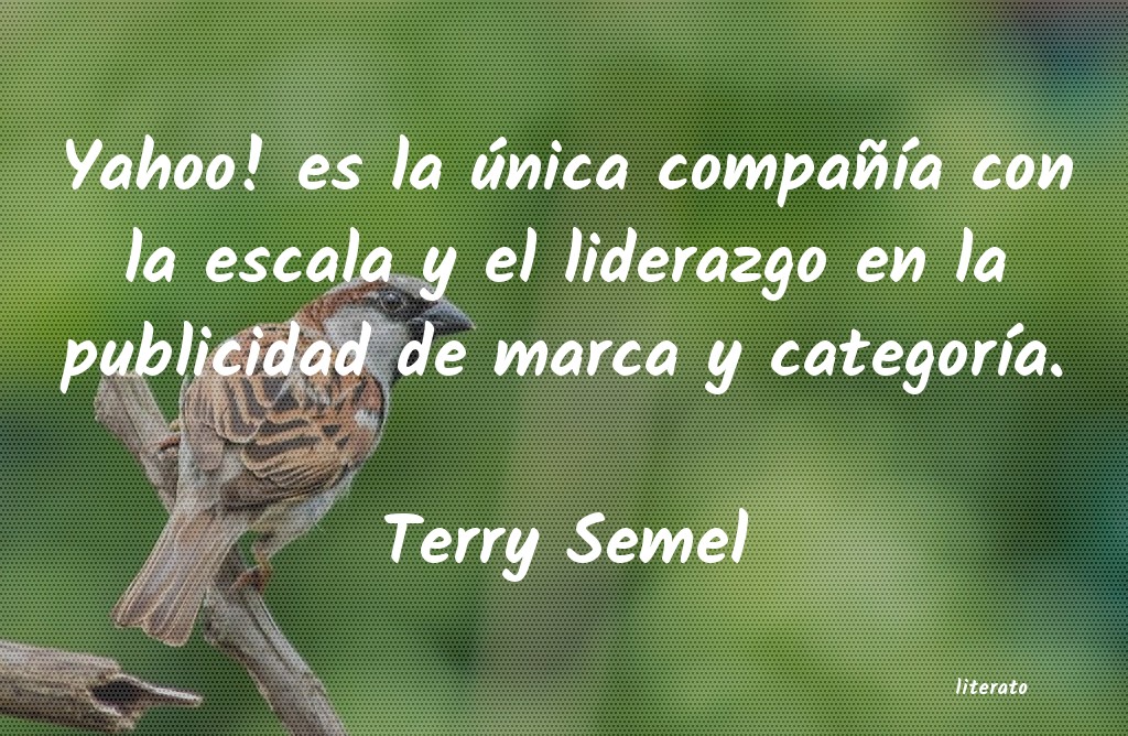 Frases de Terry Semel