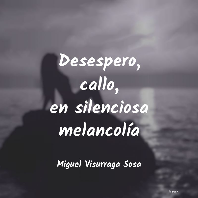 Frases de Miguel Visurraga Sosa