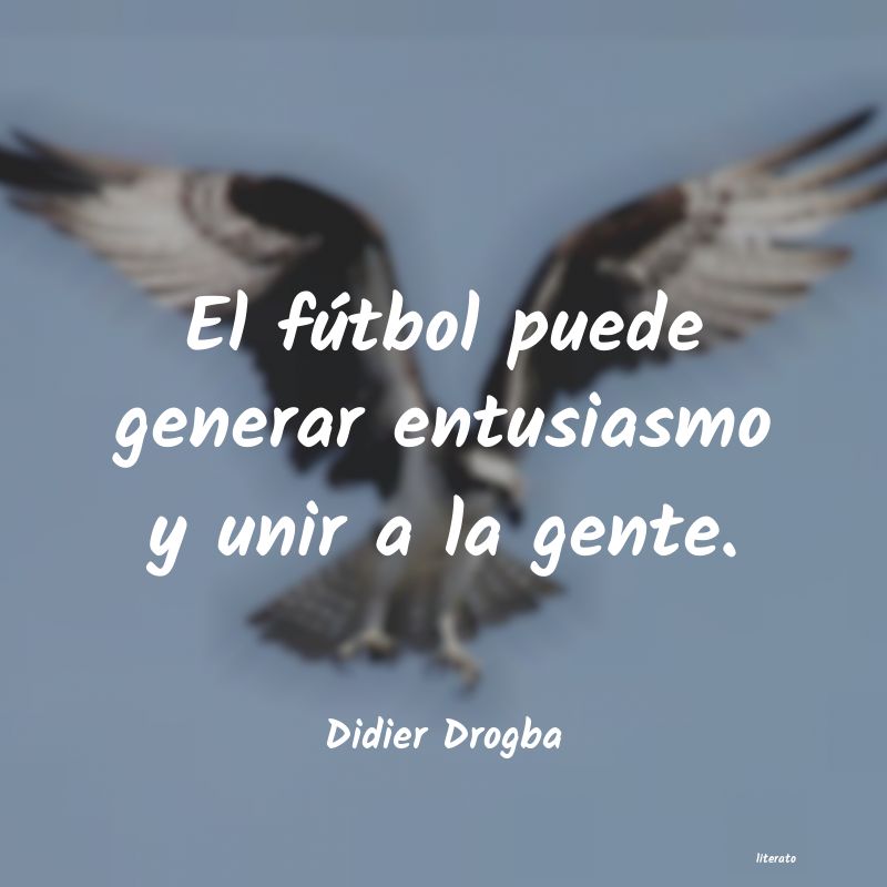 Frases de Didier Drogba