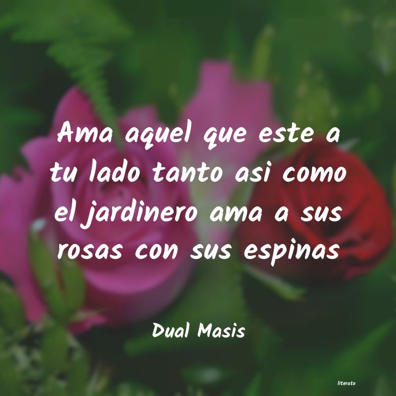 Frases de Dual Masis