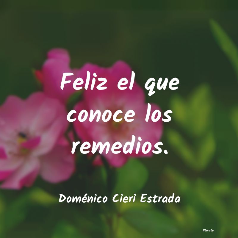 Frases de Doménico Cieri Estrada