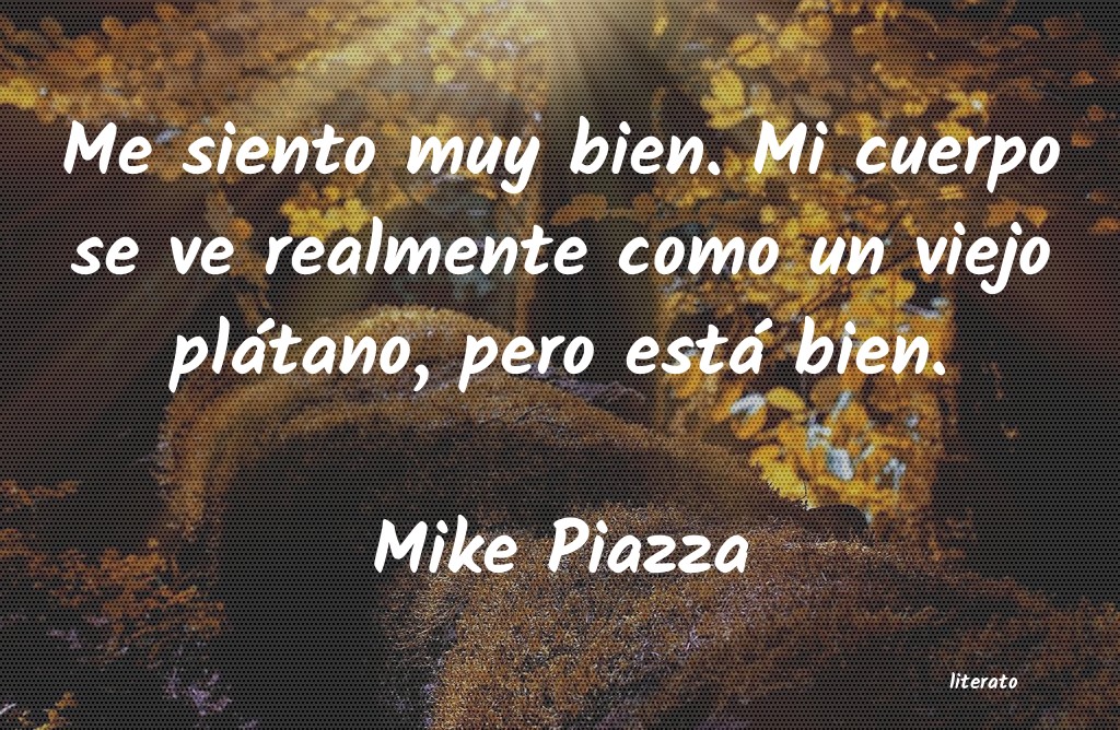 Frases de Mike Piazza