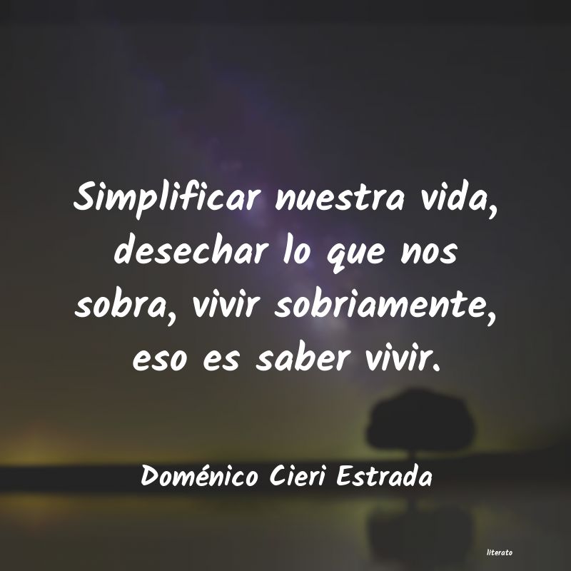 Frases de Doménico Cieri Estrada