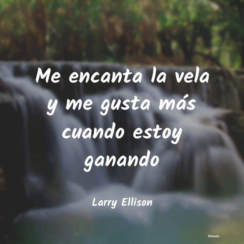 Frases de Larry Ellison