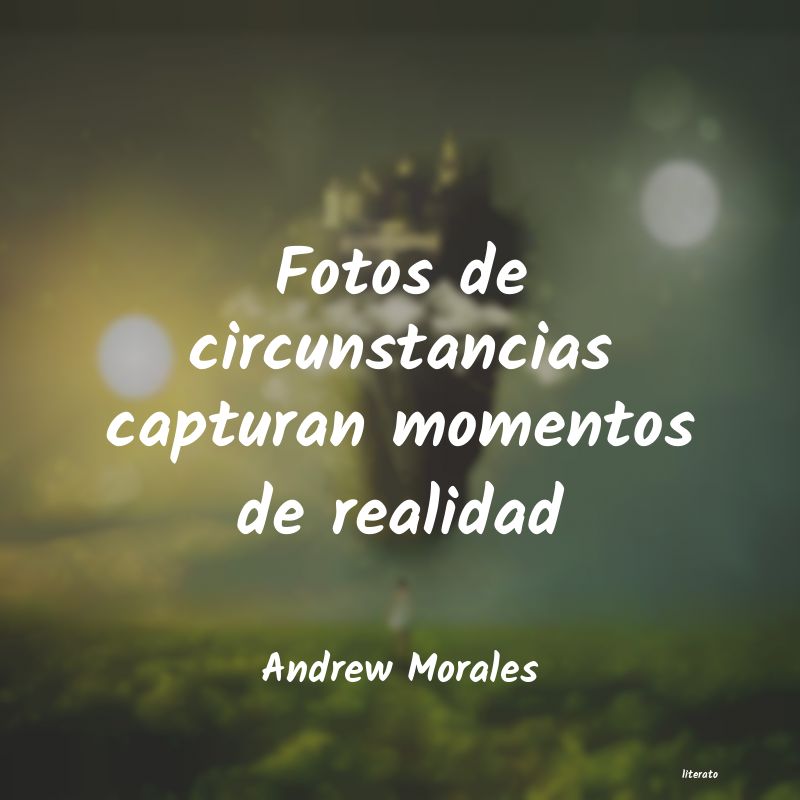 Frases de Andrew Morales