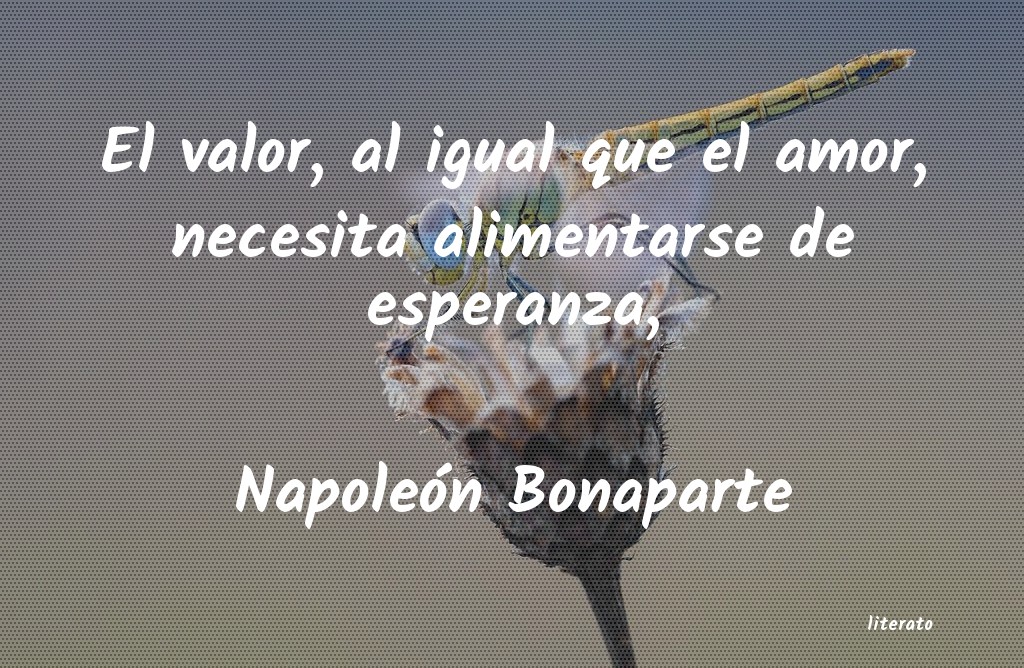 frases de NapoleÃ³n Bonaparte