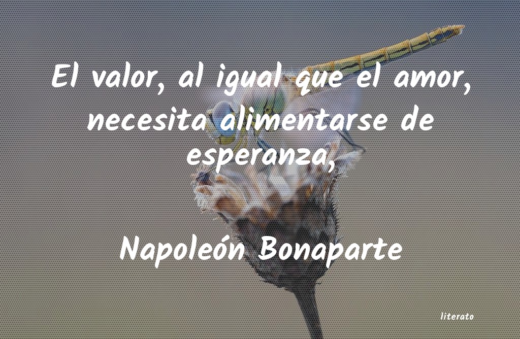 Frases de Napoleón Bonaparte