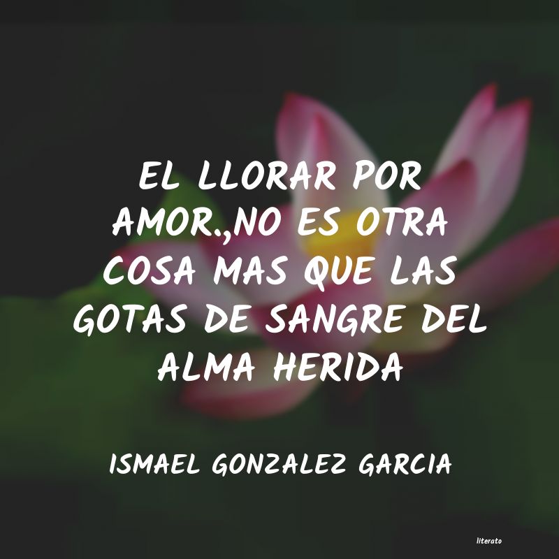 Frases de ISMAEL GONZALEZ GARCIA