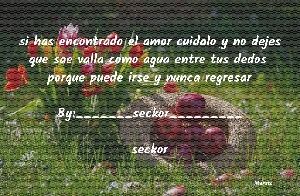 frases de seckor