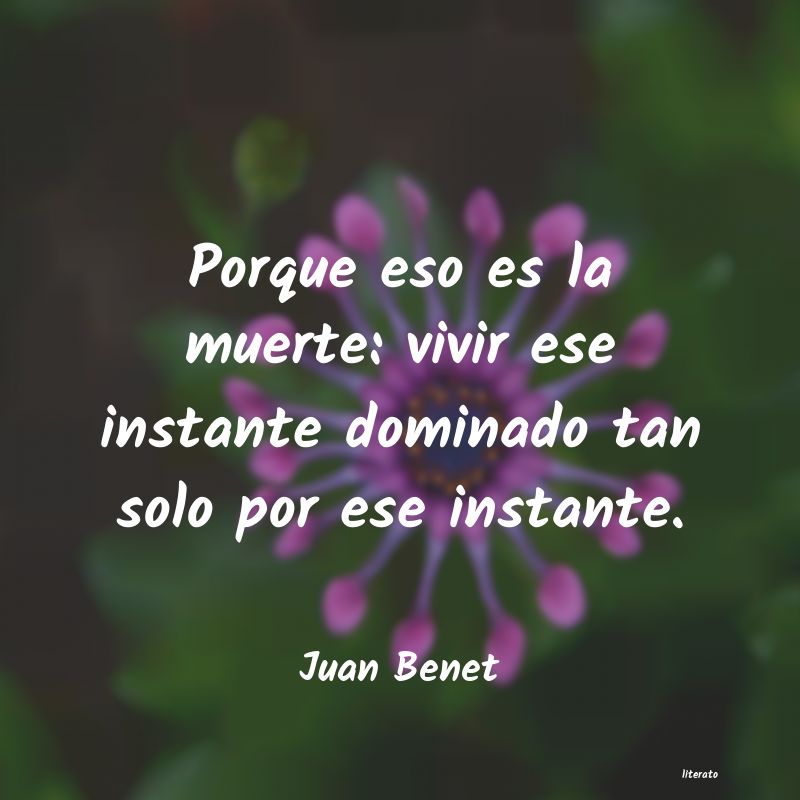 frases de Juan Benet