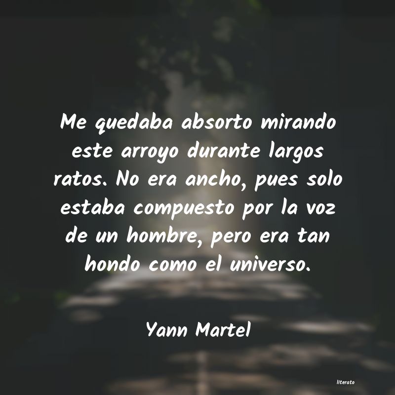 Frases de Yann Martel