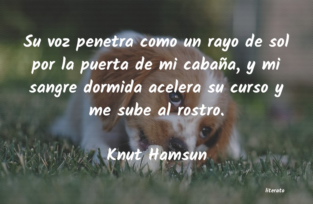 Frases de Knut Hamsun