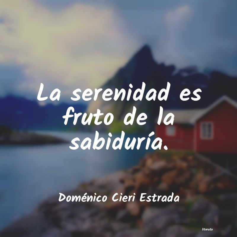 Frases de Doménico Cieri Estrada