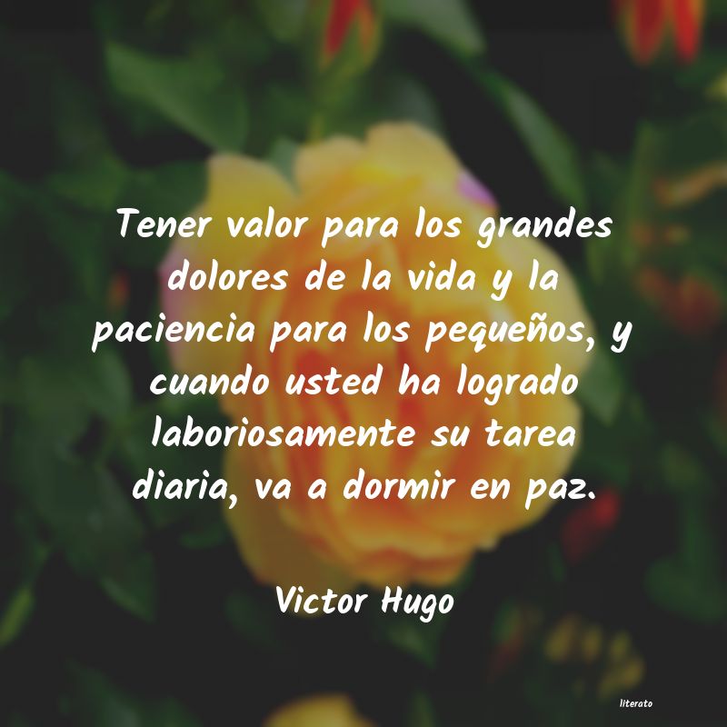 lagrimas con victor hugo