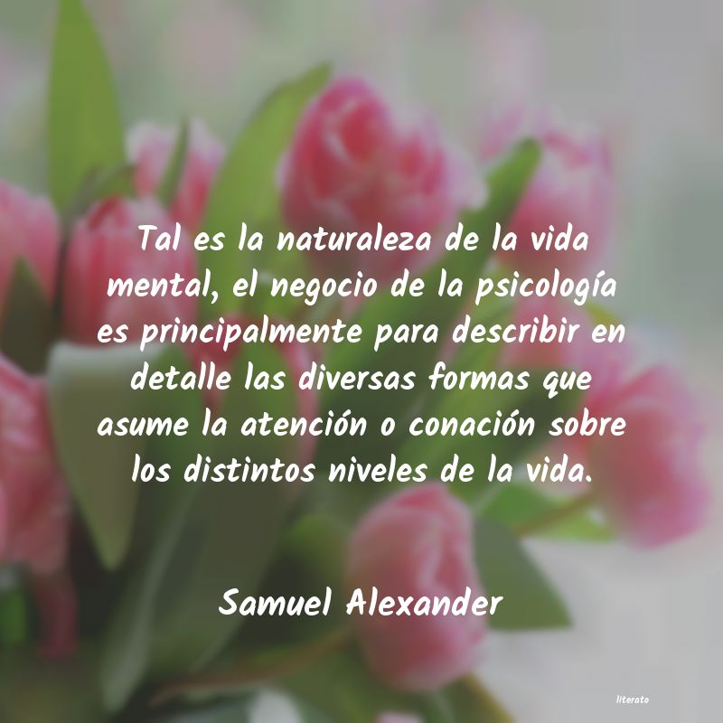 Frases de Samuel Alexander