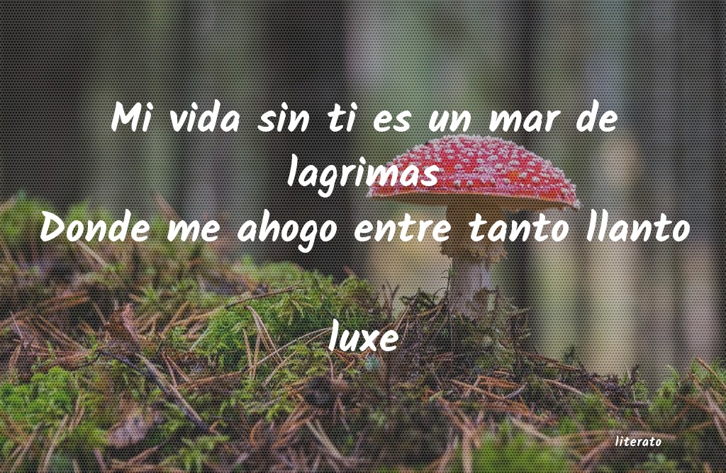 Frases de luxe