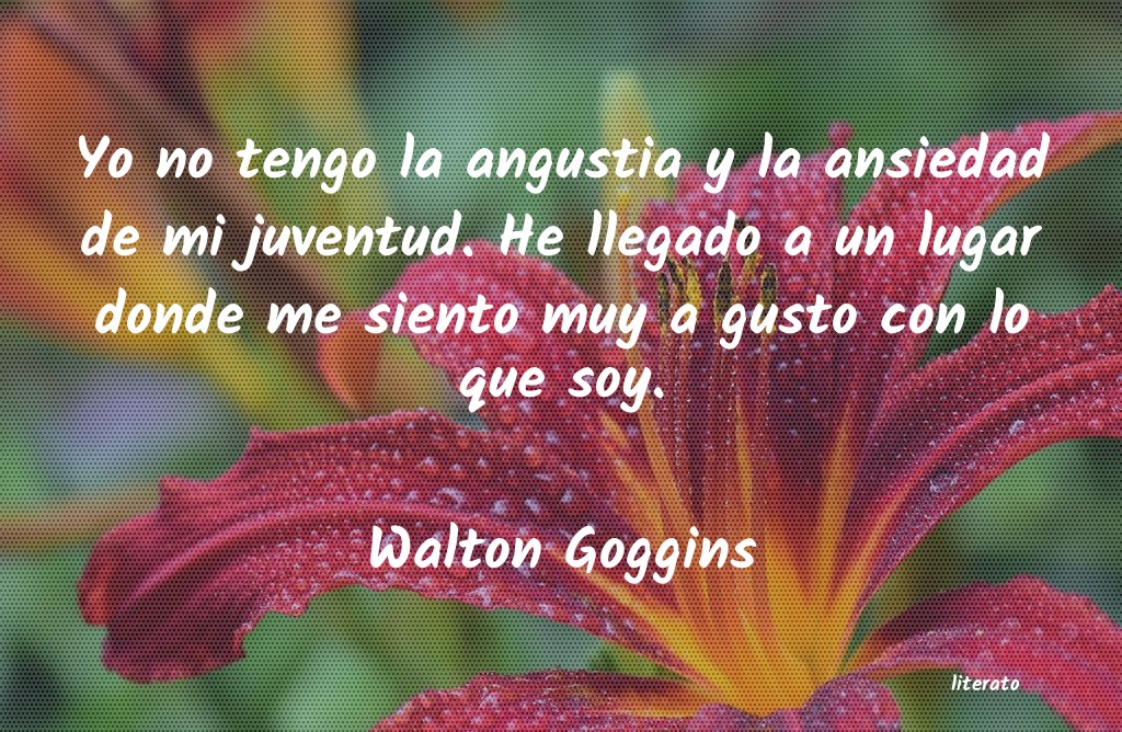 frases de Walton Goggins