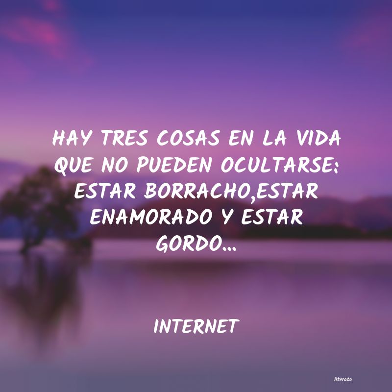 Frases de INTERNET