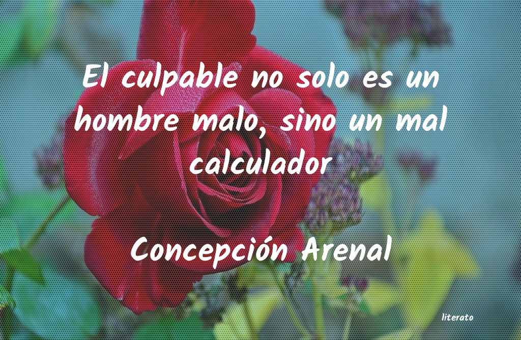frases de Concepción Arenal
