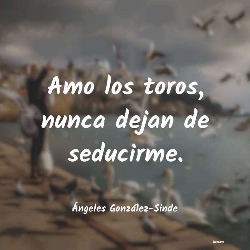frases de Ãngeles González-Sinde