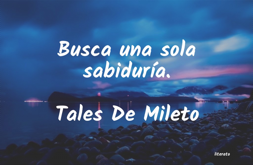 frases de sola