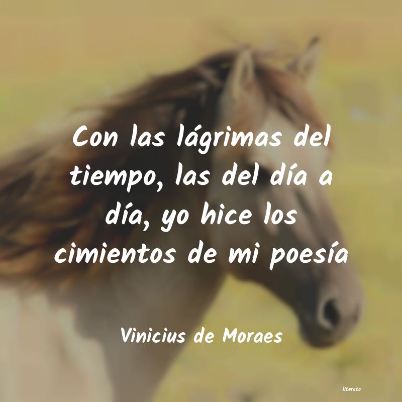 Frases de Vinicius de Moraes