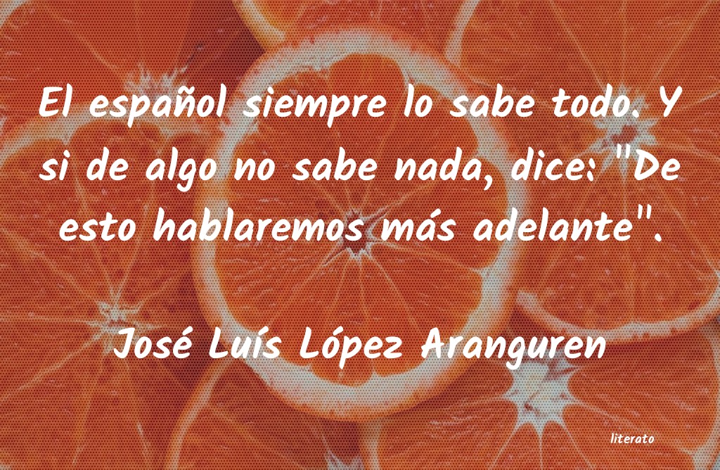 Frases de José Luís López Aranguren