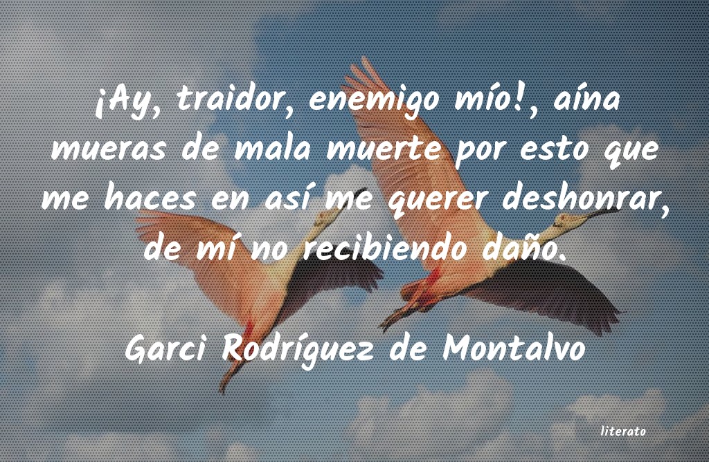 Frases de Garci Rodríguez de Montalvo