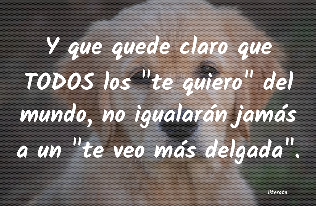 frases