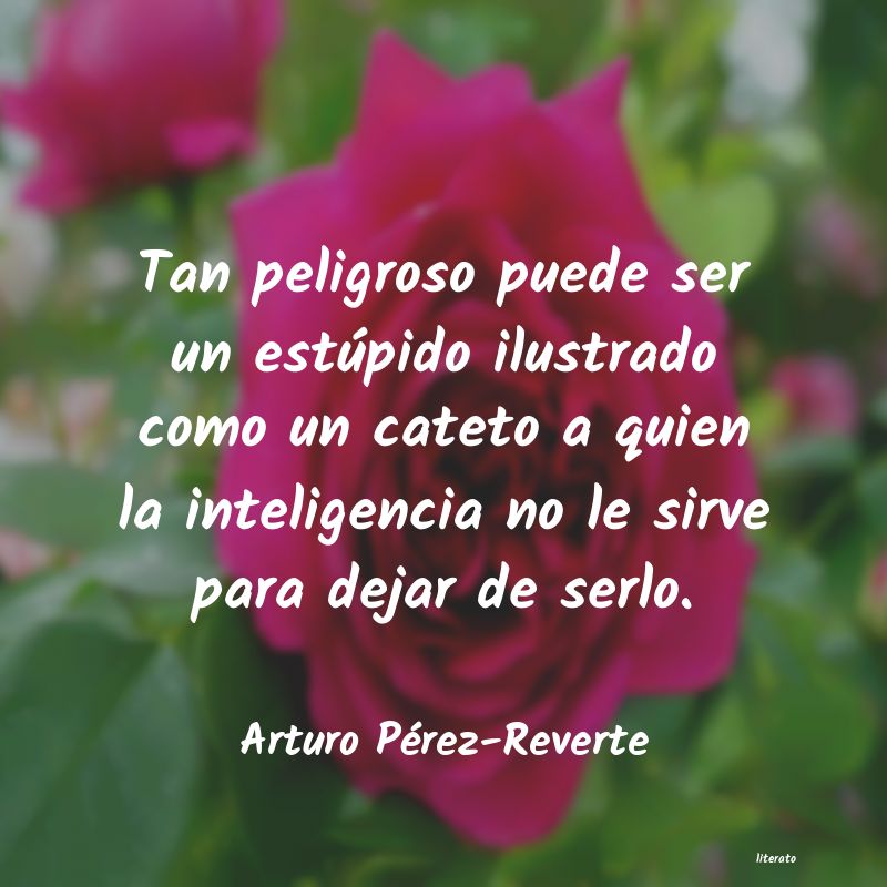 Frases de Arturo Pérez-Reverte