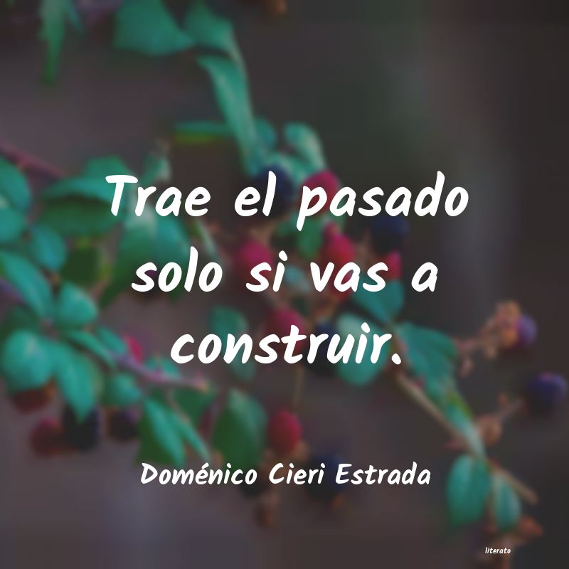 frases de Doménico Cieri Estrada