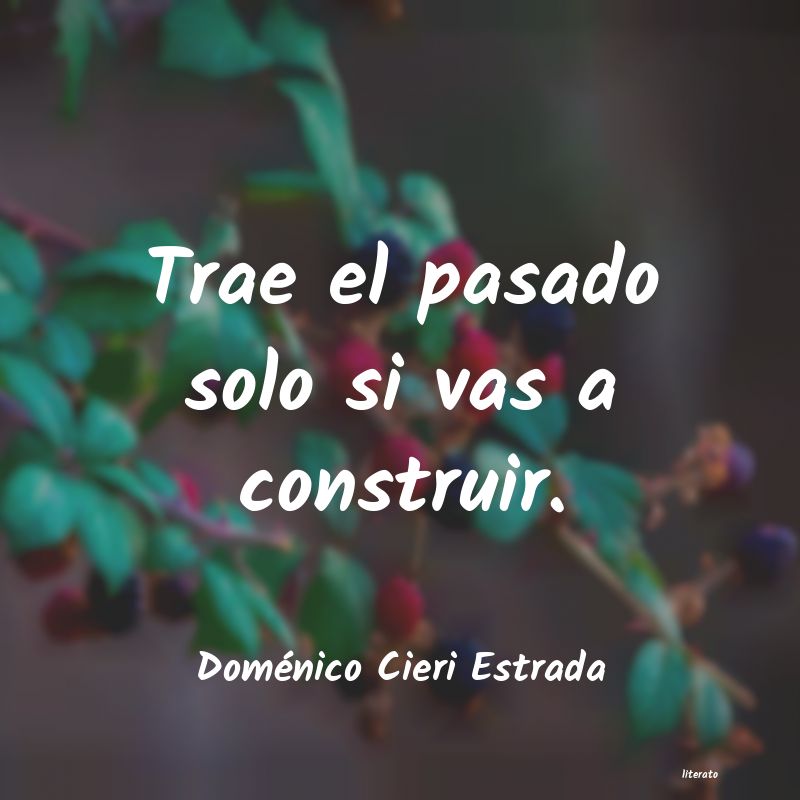 Frases de Doménico Cieri Estrada