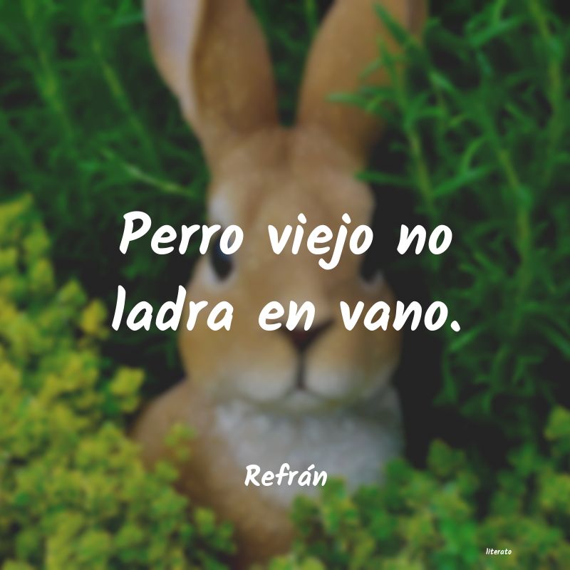 Frases de Refrán