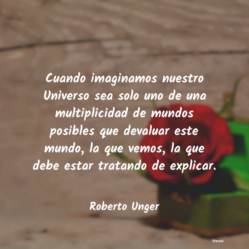 Frases de Roberto Unger