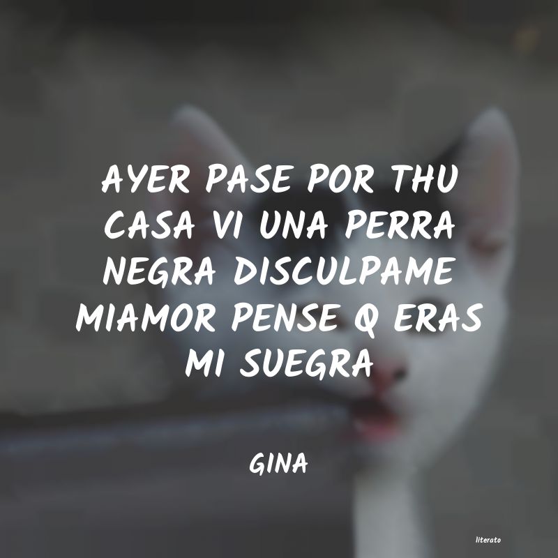 frases de GINA