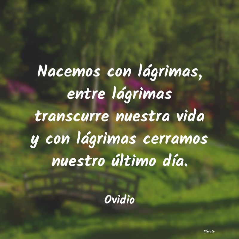 Frases de Ovidio