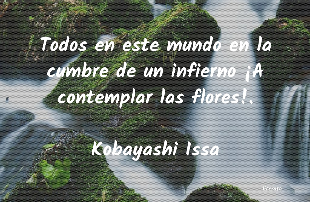 frases de Kobayashi Issa