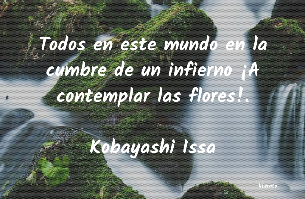 Frases de Kobayashi Issa