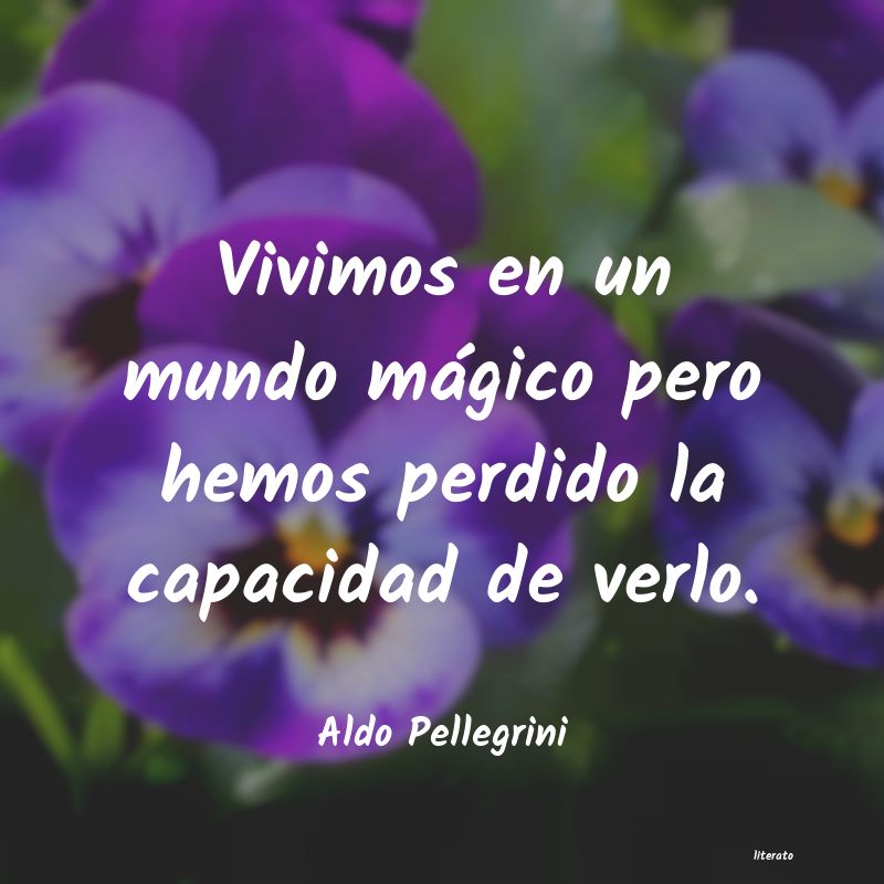 Frases de Aldo Pellegrini