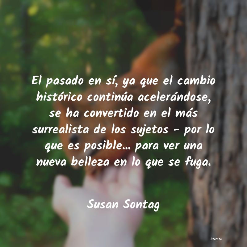 Frases de Susan Sontag