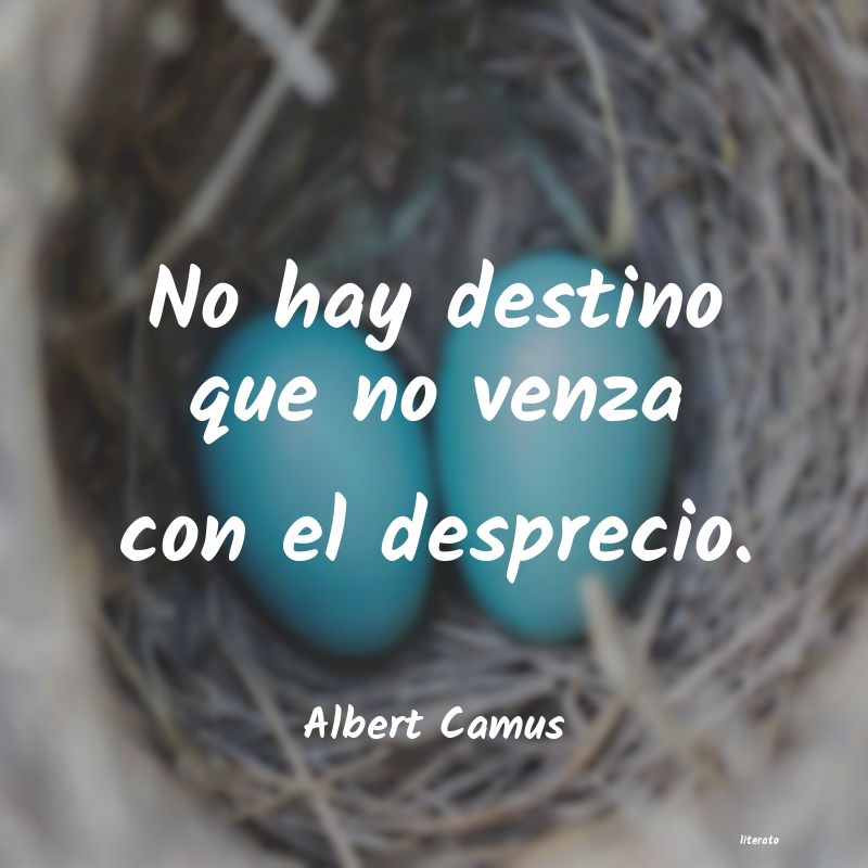 Frases de Albert Camus