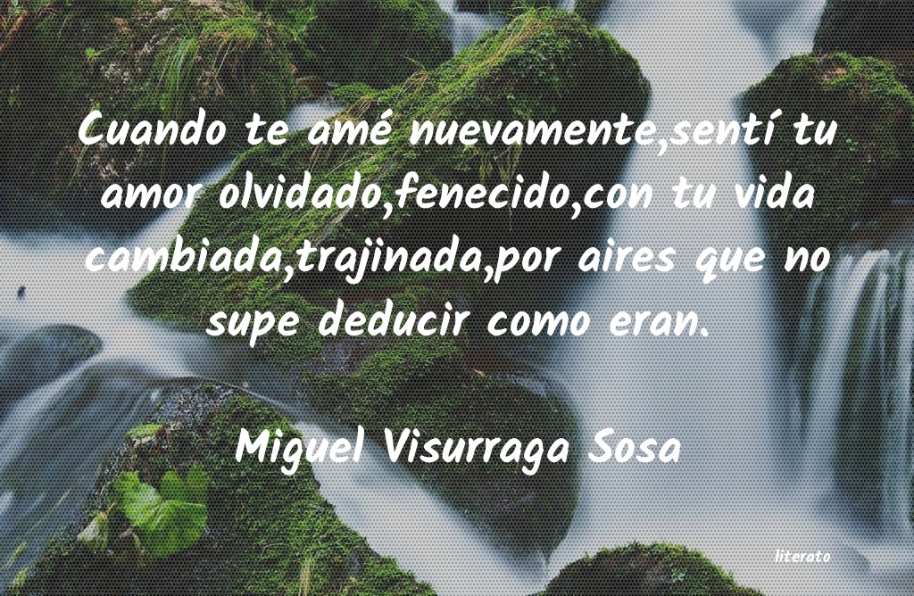 frases de Miguel Visurraga Sosa