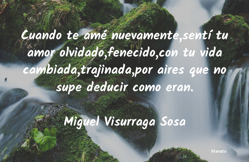 Frases de Miguel Visurraga Sosa