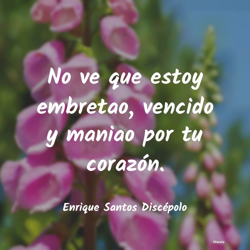 Frases de Enrique Santos Discépolo