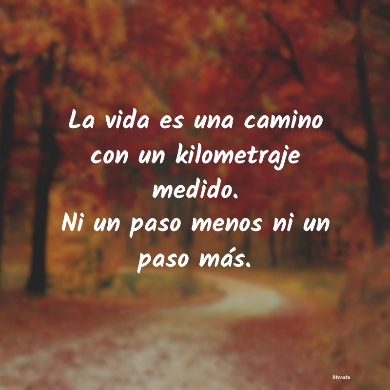 frases