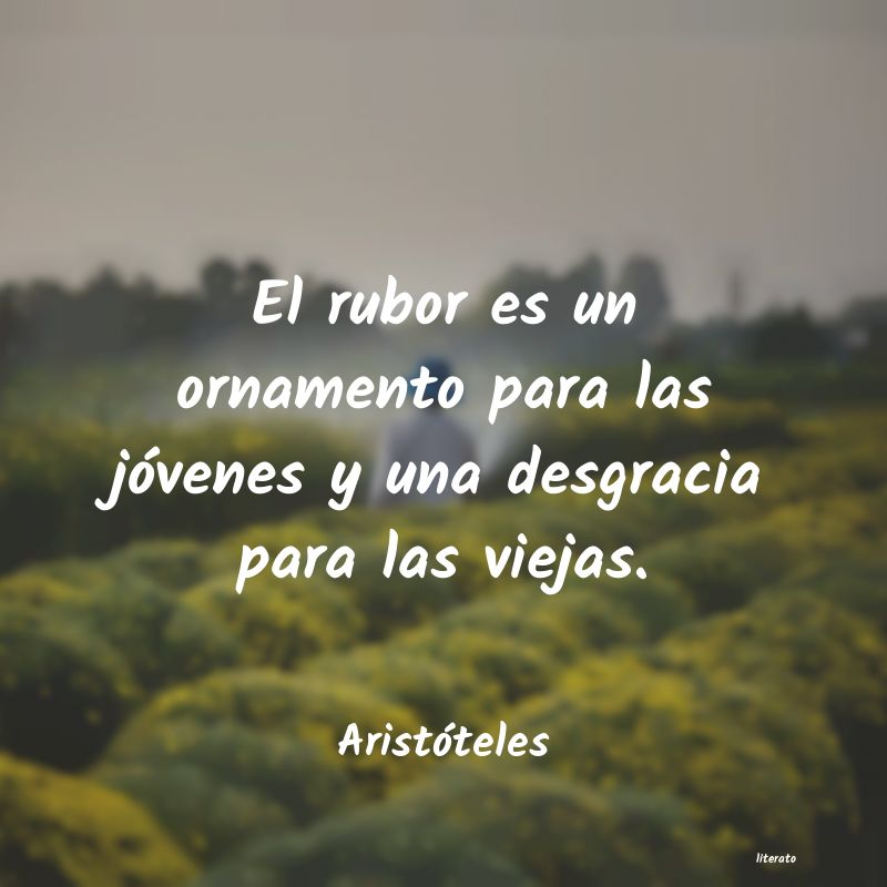 Frases de Aristóteles