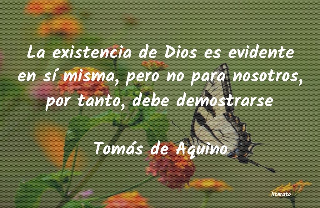 Frases de Tomás de Aquino