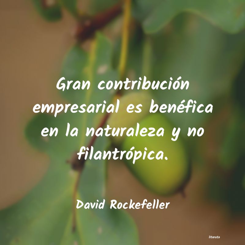 Frases de David Rockefeller